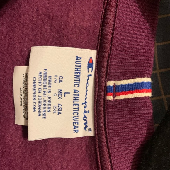 Super Comfy Champion Sweater - Picture 3 of 4